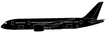 Silhouette image of generic B788 model; specific model in this crash may look slightly different