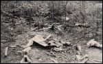 photo of Junkers-Ju-52-3m-D-ANAJ photo of Junkers-Ju-52-3m-D-ANAJ